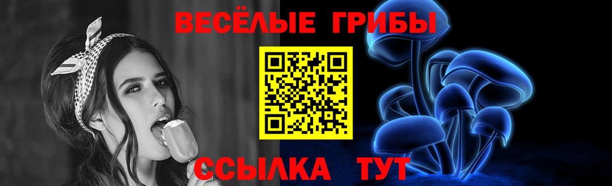 Химки  Псилоцибиновые грибы прущие грибы  Вход с VPN 